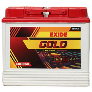  Exide litle champ battery for tractor 100 ah 